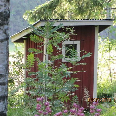 Ilmastoitu Kesaemoekki Askolassa Laehellae Porvoota Esterno foto